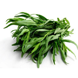 Feuille d'estragon